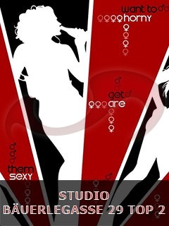 Studio Bäuerlegasse  in Wien  / Wien , Bäuerlegasse 29