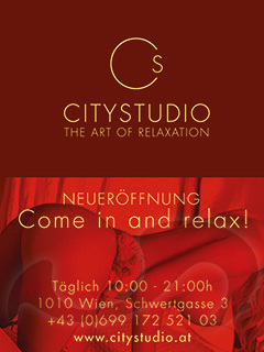 Citystudio  in Wien  / Wien , Schwertgasse 3