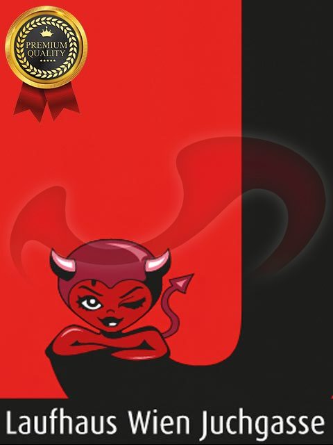  Laufhaus Juchgasse  in Wien  / Wien , Juchgasse 11 