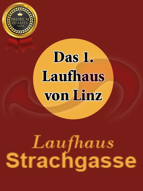  Laufhaus Strachgasse  in Oberösterreich  / Linz , Strachgasse 5 